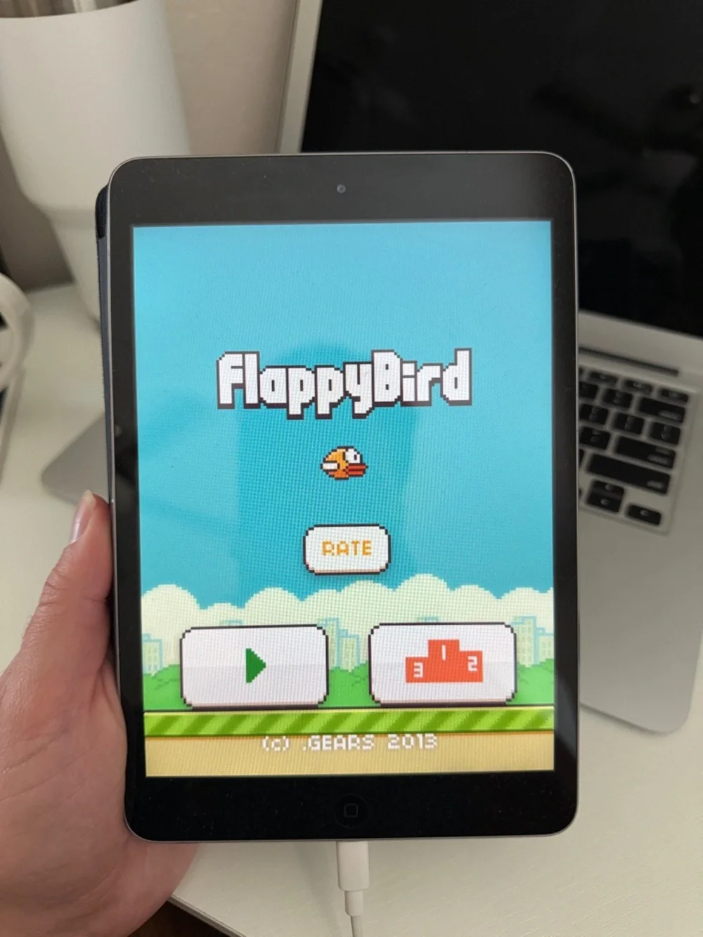 iPad mini with FlappyBird